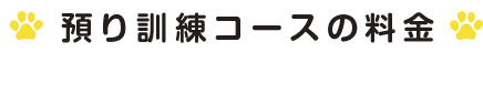 犬のしつけ・訓練　ワンちゃんと一緒に楽しいドッグライフのスタートです