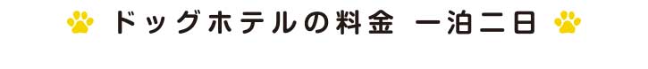 犬のしつけ・訓練　ワンちゃんと一緒に楽しいドッグライフのスタートです