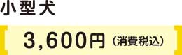 小型犬3600円