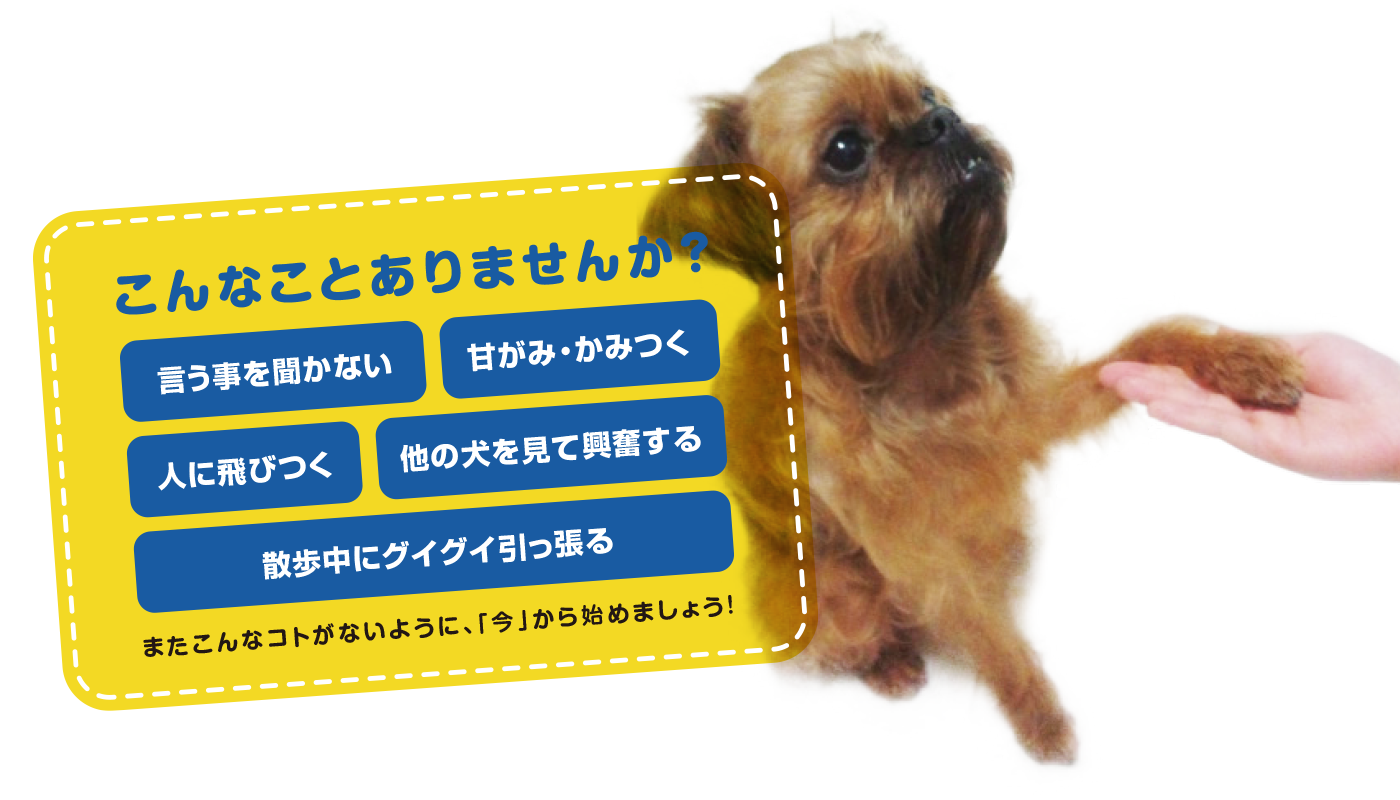 犬のしつけでお困りのことはございませんか？