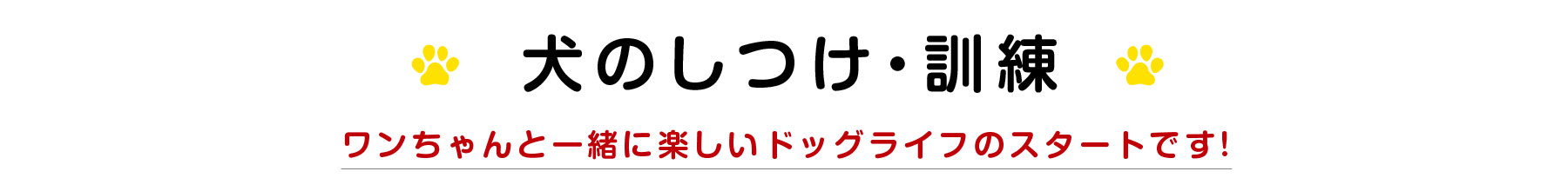 犬のしつけ・訓練　ワンちゃんと一緒に楽しいドッグライフのスタートです