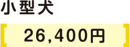 小型犬3000円