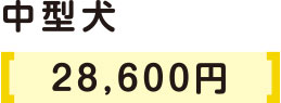 中型犬22000円