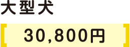 中型犬3500円