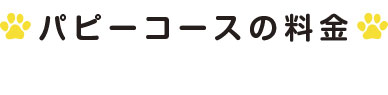 犬のしつけ・訓練　ワンちゃんと一緒に楽しいドッグライフのスタートです