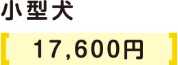 小型犬3000円