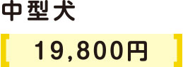 小型犬3000円