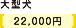 中型犬3500円