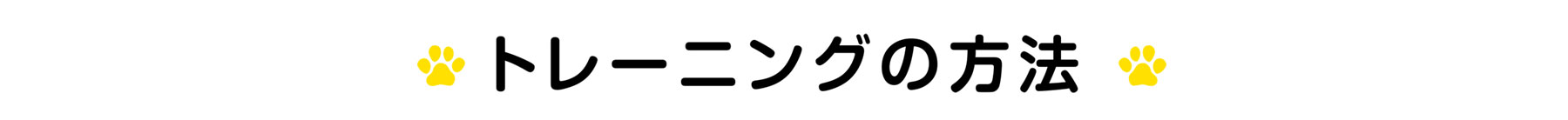 犬のしつけ・訓練　ワンちゃんと一緒に楽しいドッグライフのスタートです